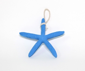 Coquillage Etoile de mer (Grand et Mince)