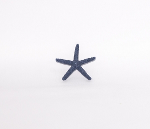 coquillage Etoile de mer (Petit)