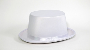 Chapeau Haut de Forme Blanc